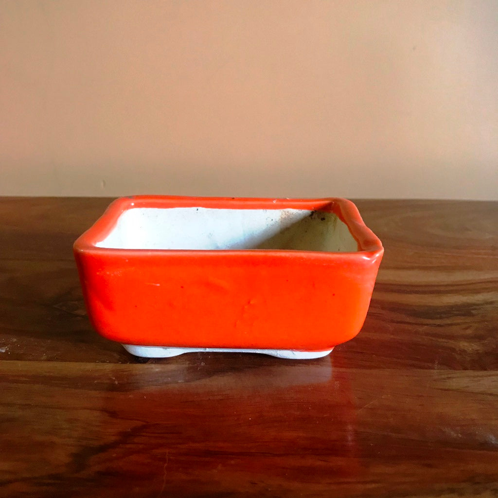  Rectangular Bonsai Ceramic Tray Set