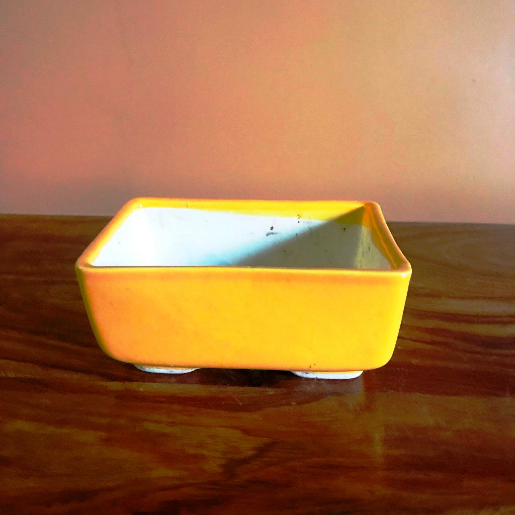  Rectangular Bonsai Ceramic Tray Set