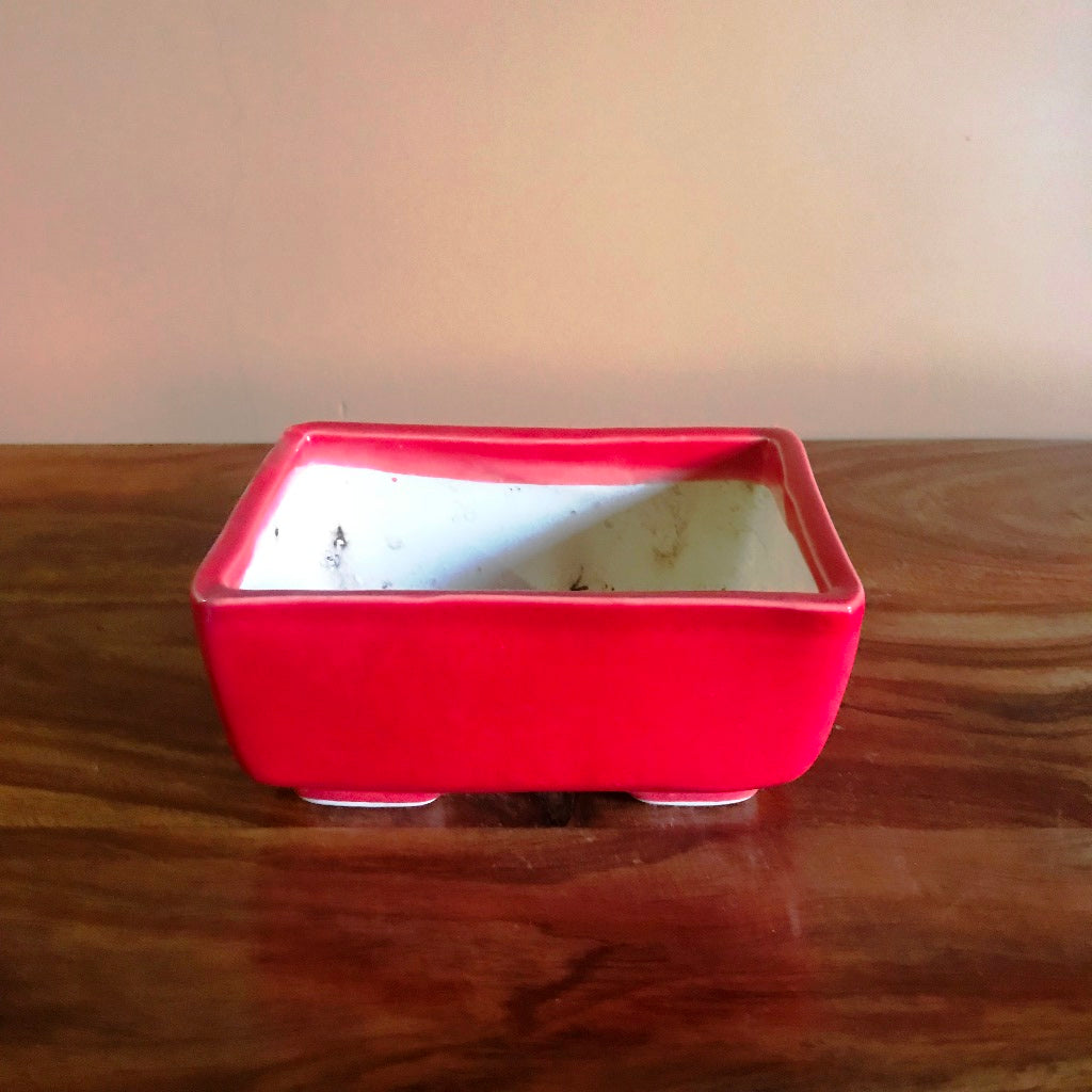  Rectangular Bonsai Ceramic Tray Set