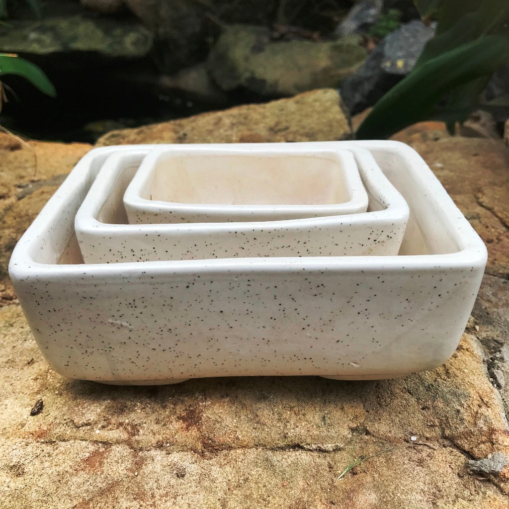  Rectangular Bonsai Ceramic Tray Set