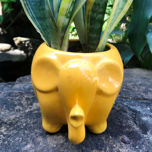  Royal Elephant Ceramic Planter
