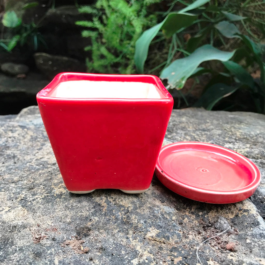  On The Move Ceramic Pot With Tray