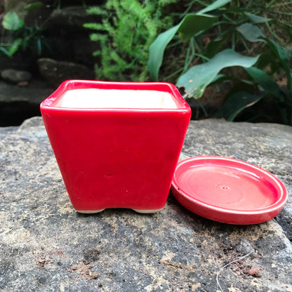  On The Move Ceramic Pot With Tray