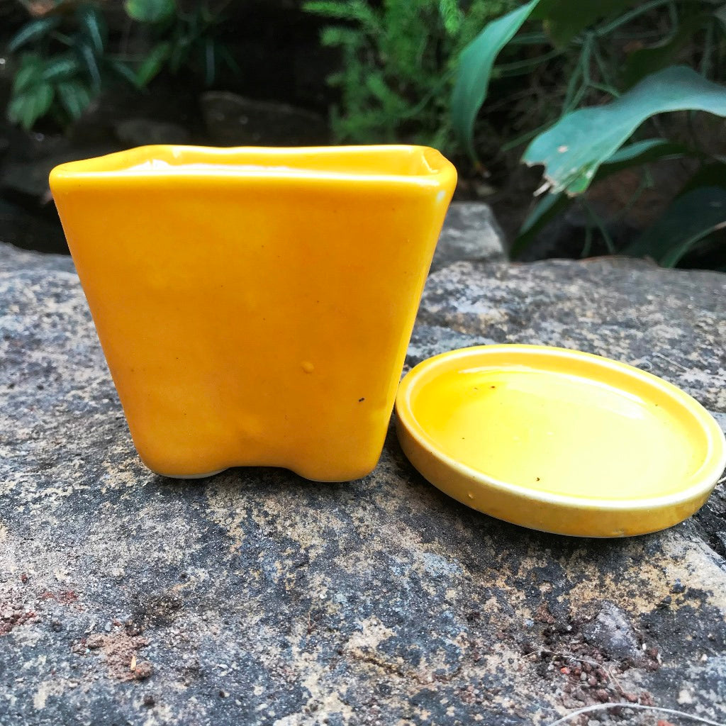  On The Move Ceramic Pot With Tray