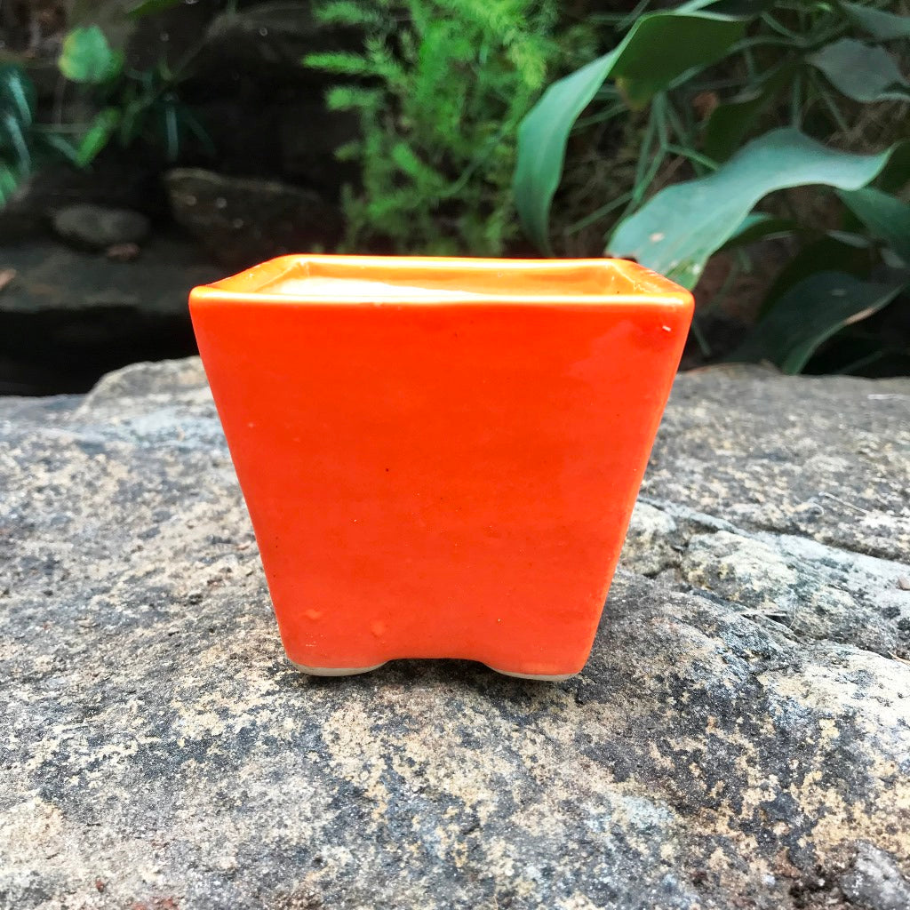  On The Move Ceramic Pot With Tray