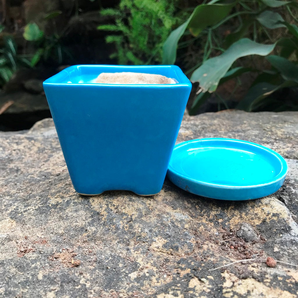  On The Move Ceramic Pot With Tray