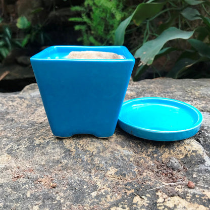  On The Move Ceramic Pot With Tray