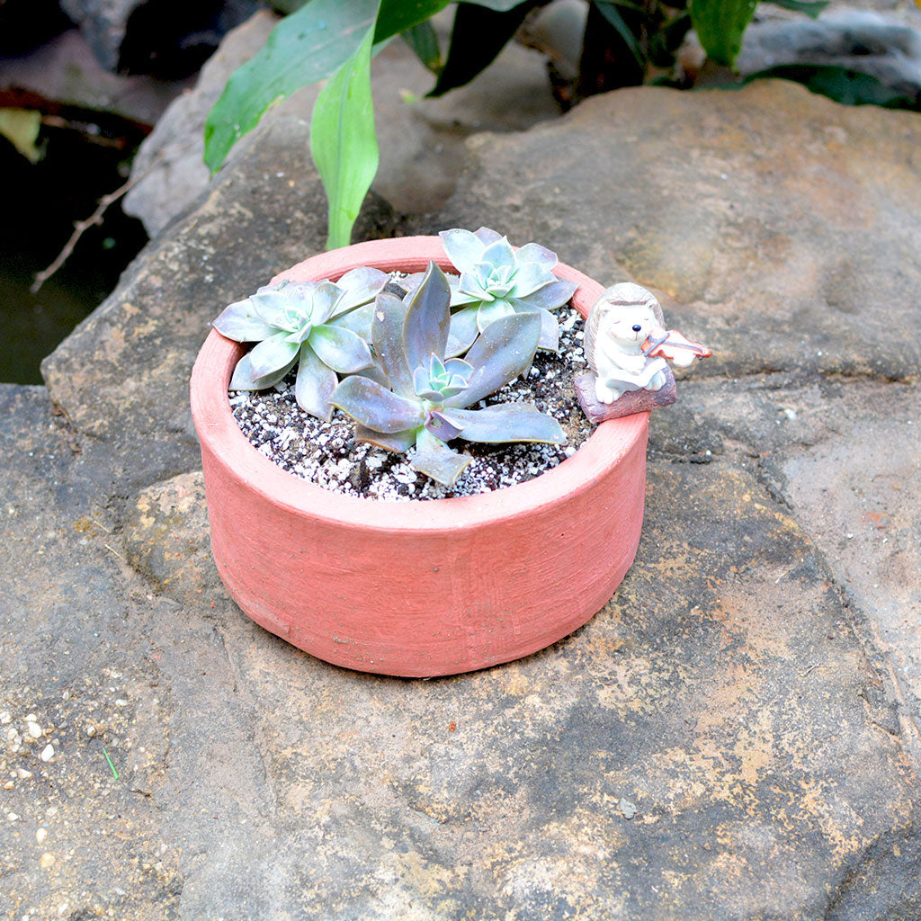  Set Of 3 Medium Circular Terracotta Pot