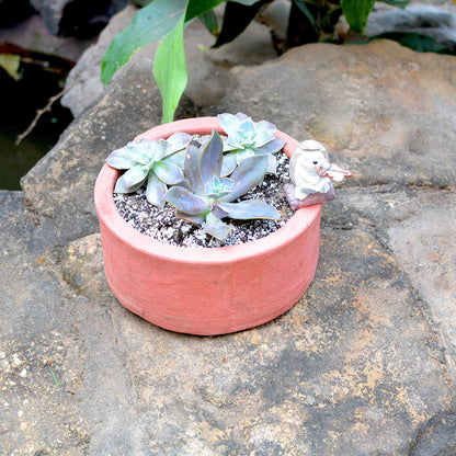  Set Of 3 Medium Circular Terracotta Pot