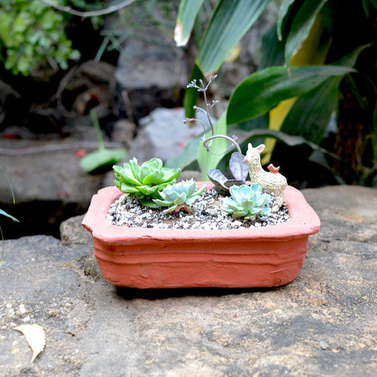  Set Of 3 Lined Rectangle Terracotta Pot