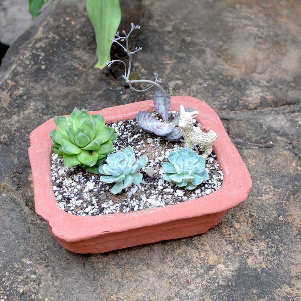  Set Of 3 Lined Rectangle Terracotta Pot