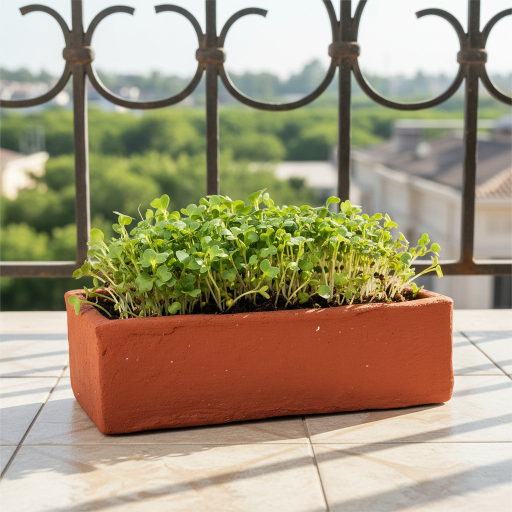  Set Of 4 Terracotta Grow Pot For Microgreens