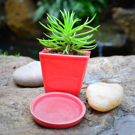 On The Move Ceramic Pot With Tray