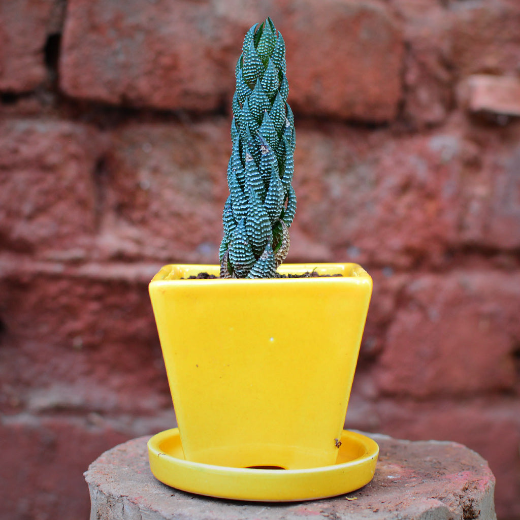  On The Move Ceramic Pot With Tray