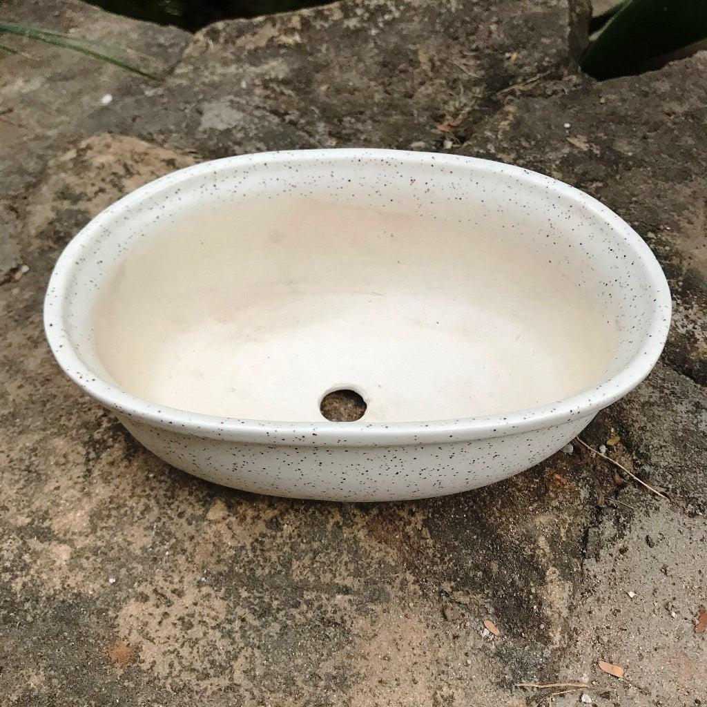  Speckled Bonsai Ceramic Planter