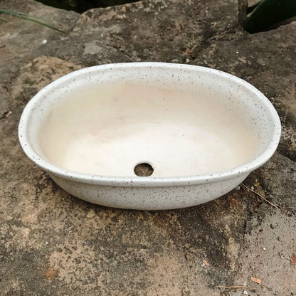 Speckled Bonsai Ceramic Planter