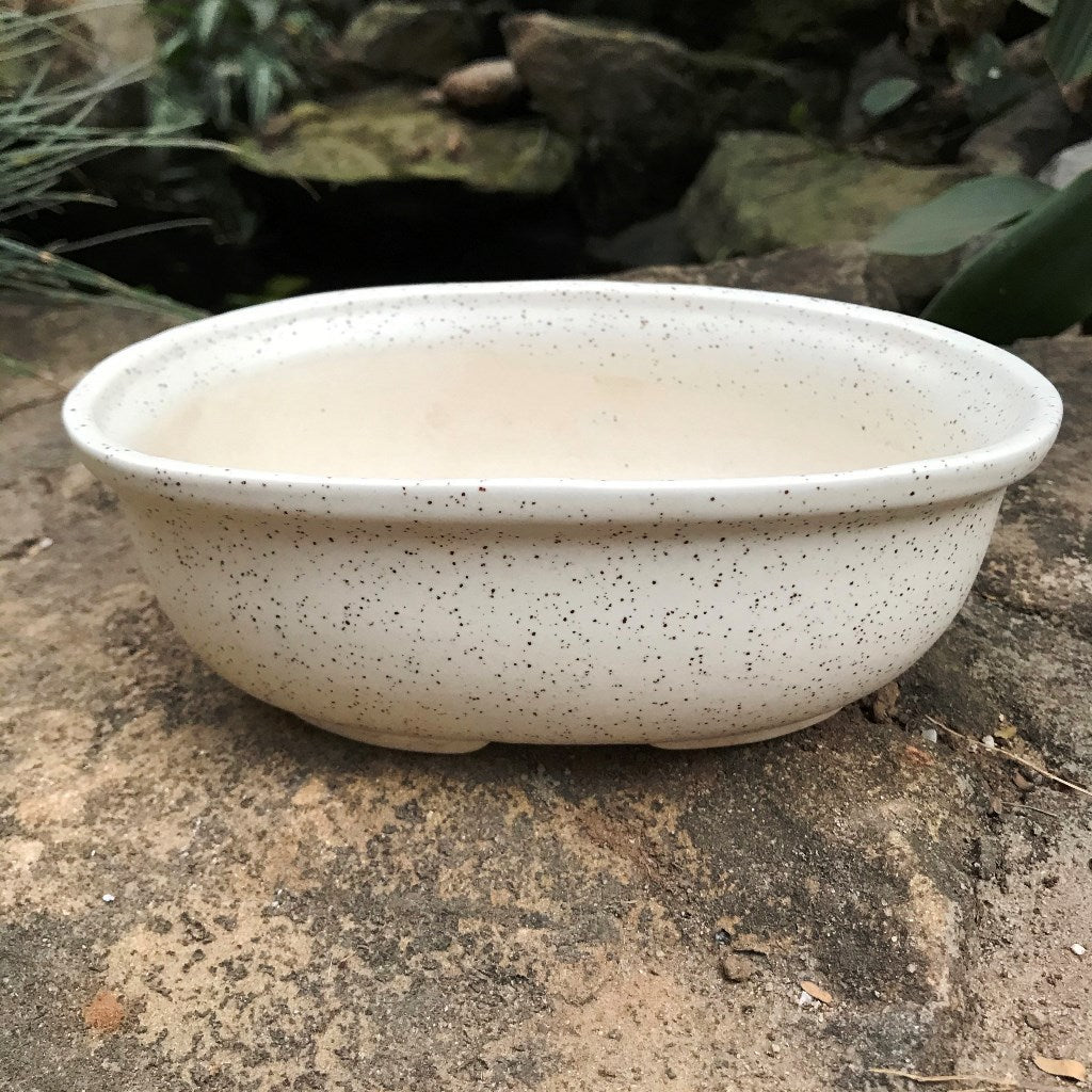  Speckled Bonsai Ceramic Planter