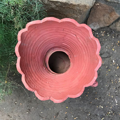  Peacock Terracotta Pot