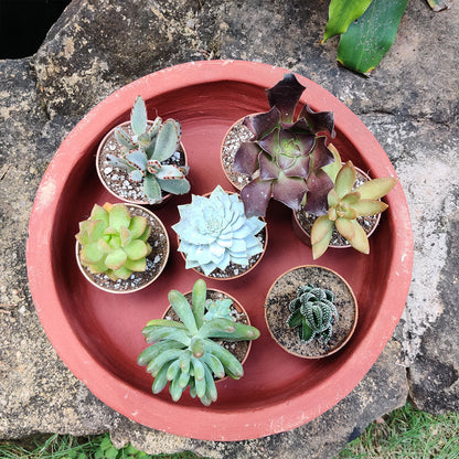  Set Of 2 Plain Circular Terracotta Pot
