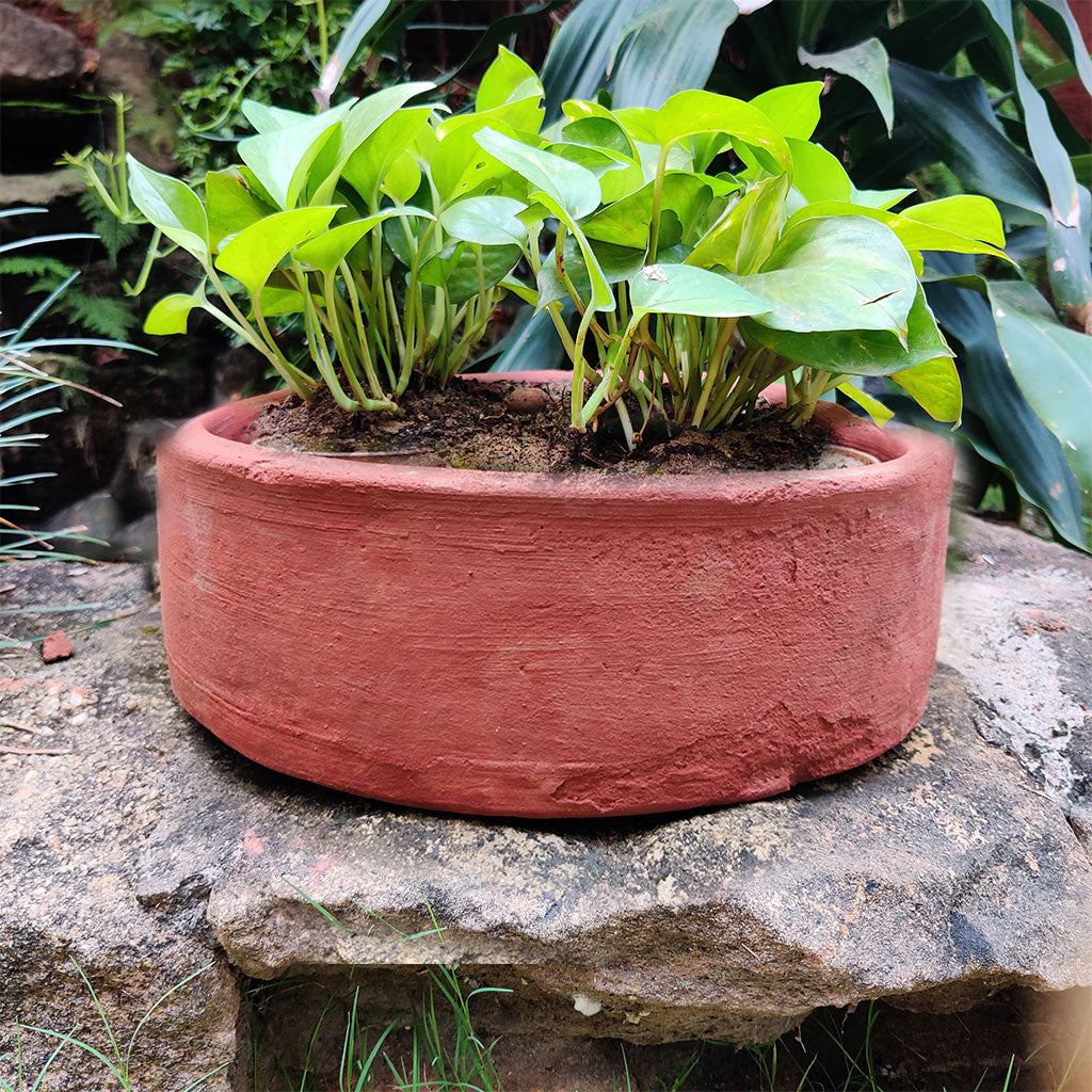  Set Of 2 Plain Circular Terracotta Pot