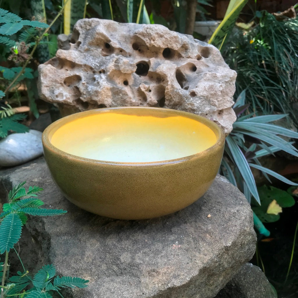  Exotic Metallic Bonsai Ceramic Pot (Medium)