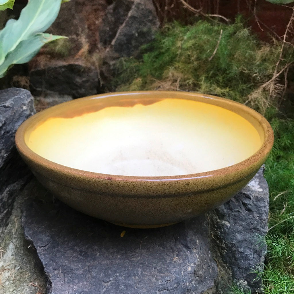  Exotic Metallic Bonsai Ceramic Pot (Large)