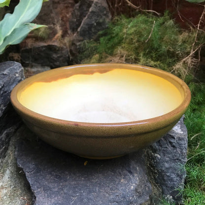  Exotic Metallic Bonsai Ceramic Pot (Large)