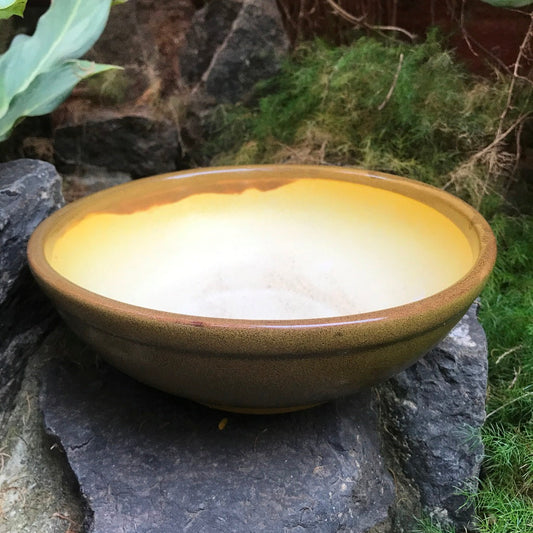  Exotic Metallic Bonsai Ceramic Pot (Large)