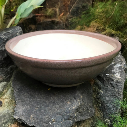  Exotic Metallic Bonsai Ceramic Pot (Large)
