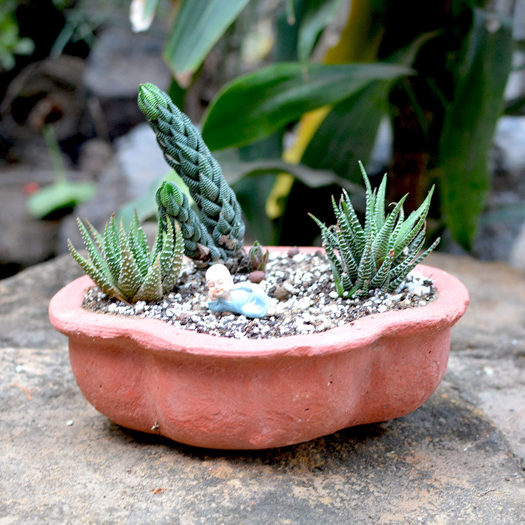 Set Of 3 Medium Petal Cornered Terracotta Pot