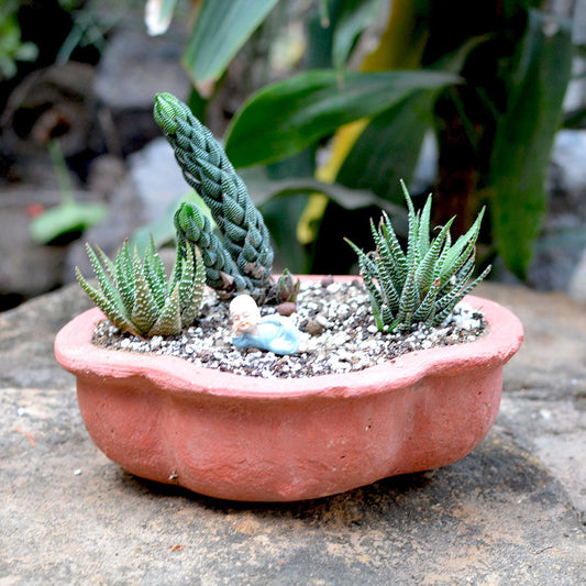  Set Of 3 Medium Petal Cornered Terracotta Pot