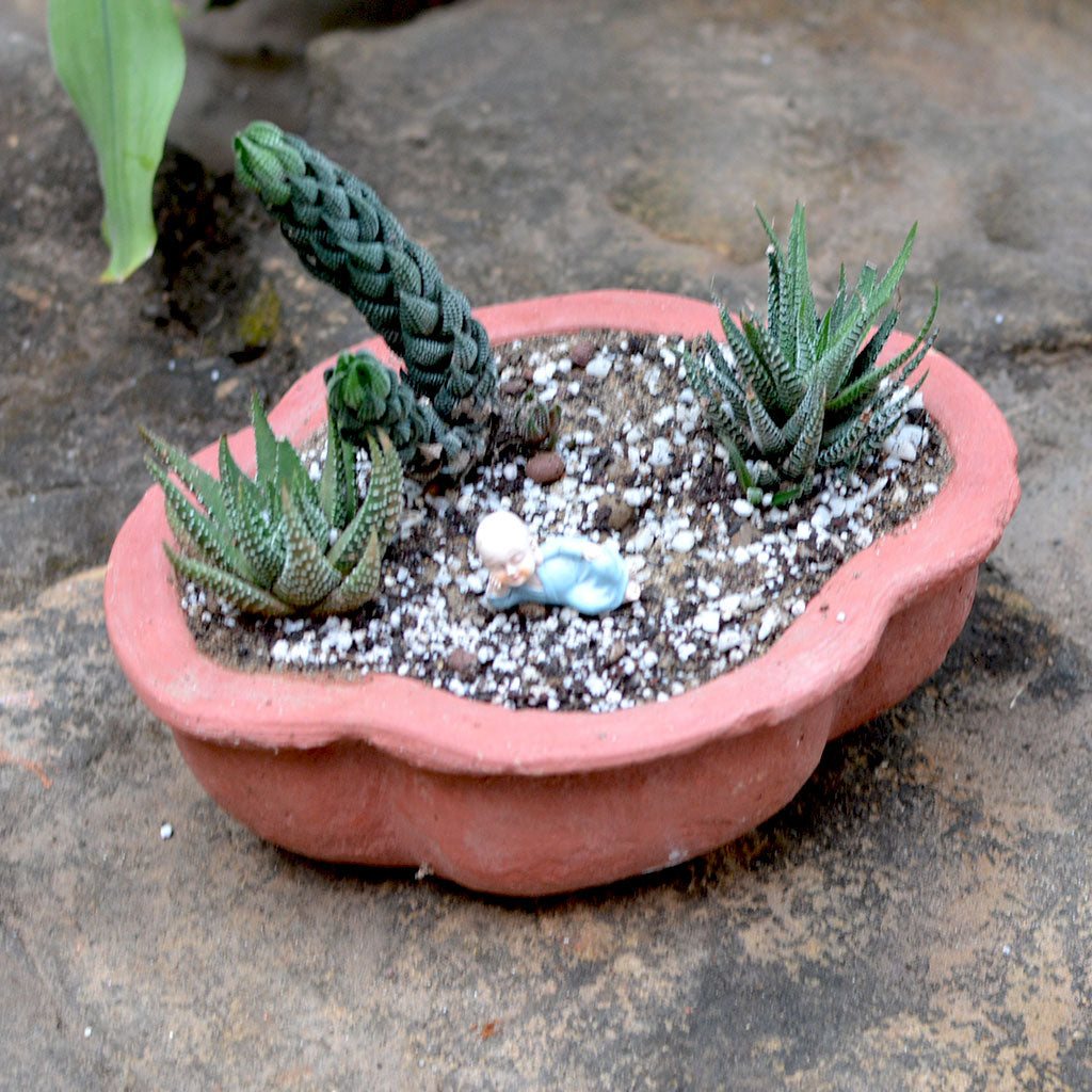  Set Of 3 Medium Petal Cornered Terracotta Pot