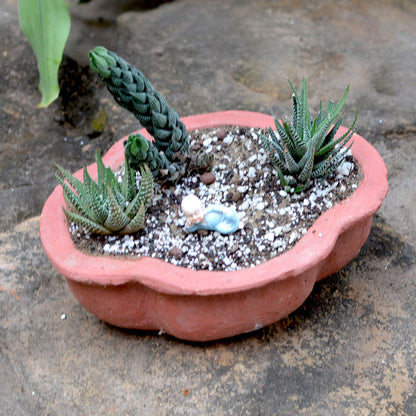  Set Of 3 Medium Petal Cornered Terracotta Pot