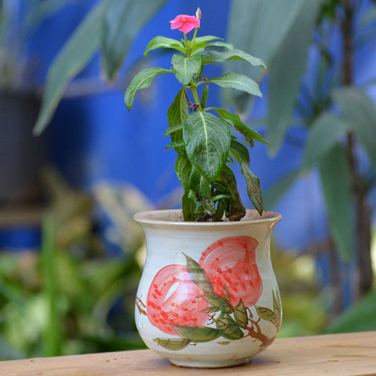  Rummage In Wild Ceramic Pot