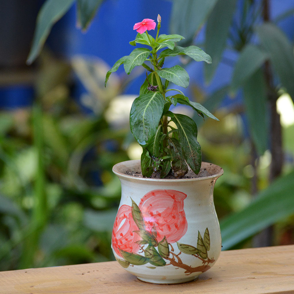  Rummage In Wild Ceramic Pot