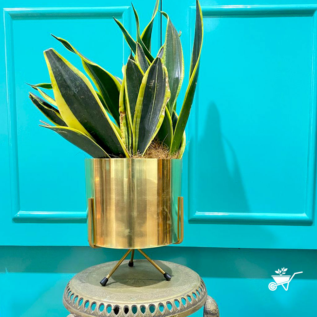  Shimmering Mirth Metal Pot With Stand
