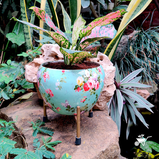  Splashy Roses Metal Pot With Stand