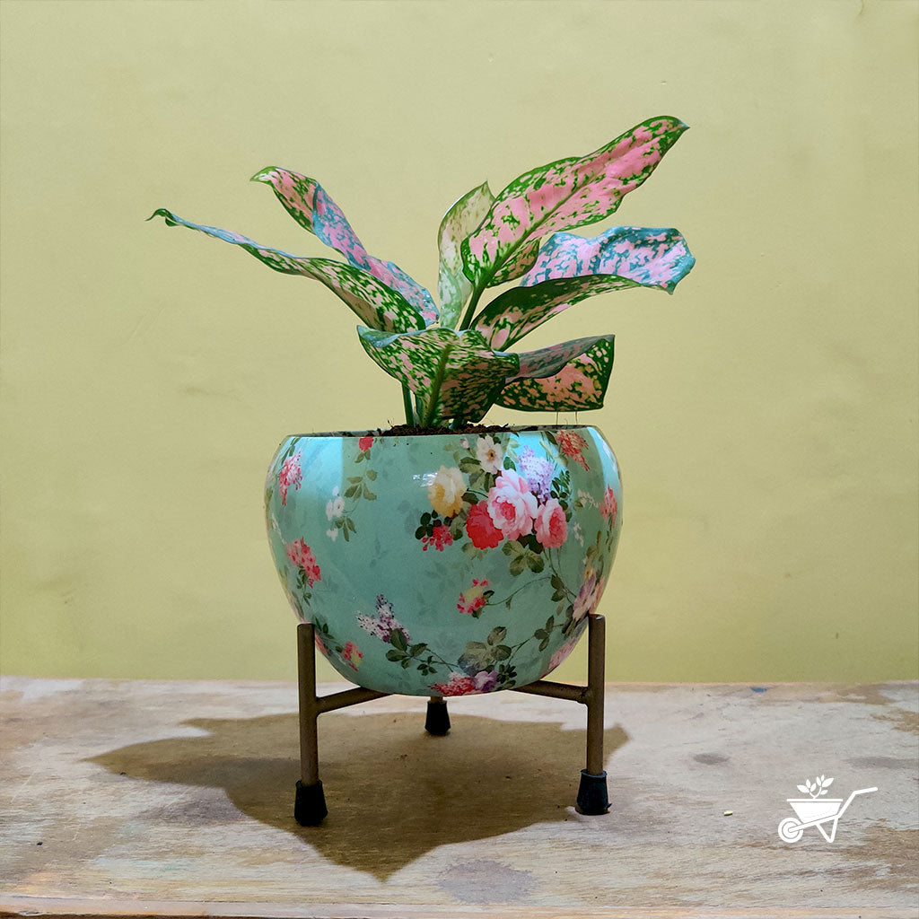  Splashy Roses Metal Pot With Stand
