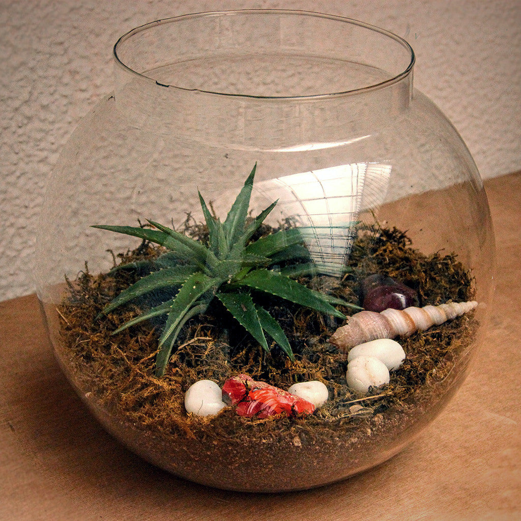 8" Fish Pot Planter With Neck