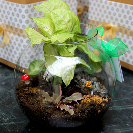  10" Fish Pot Planter With Neck