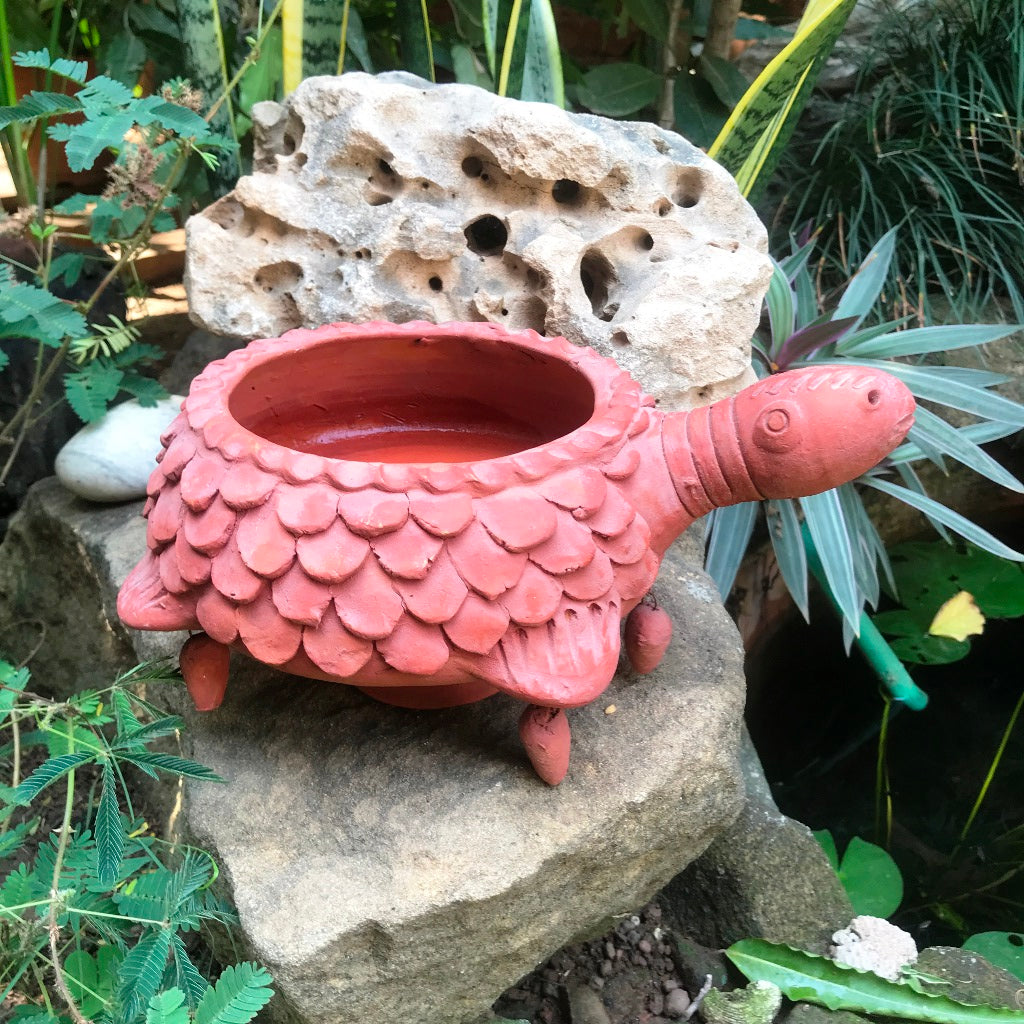  Terracotta Tortoise Small Planter
