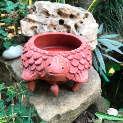  Terracotta Tortoise Small Planter