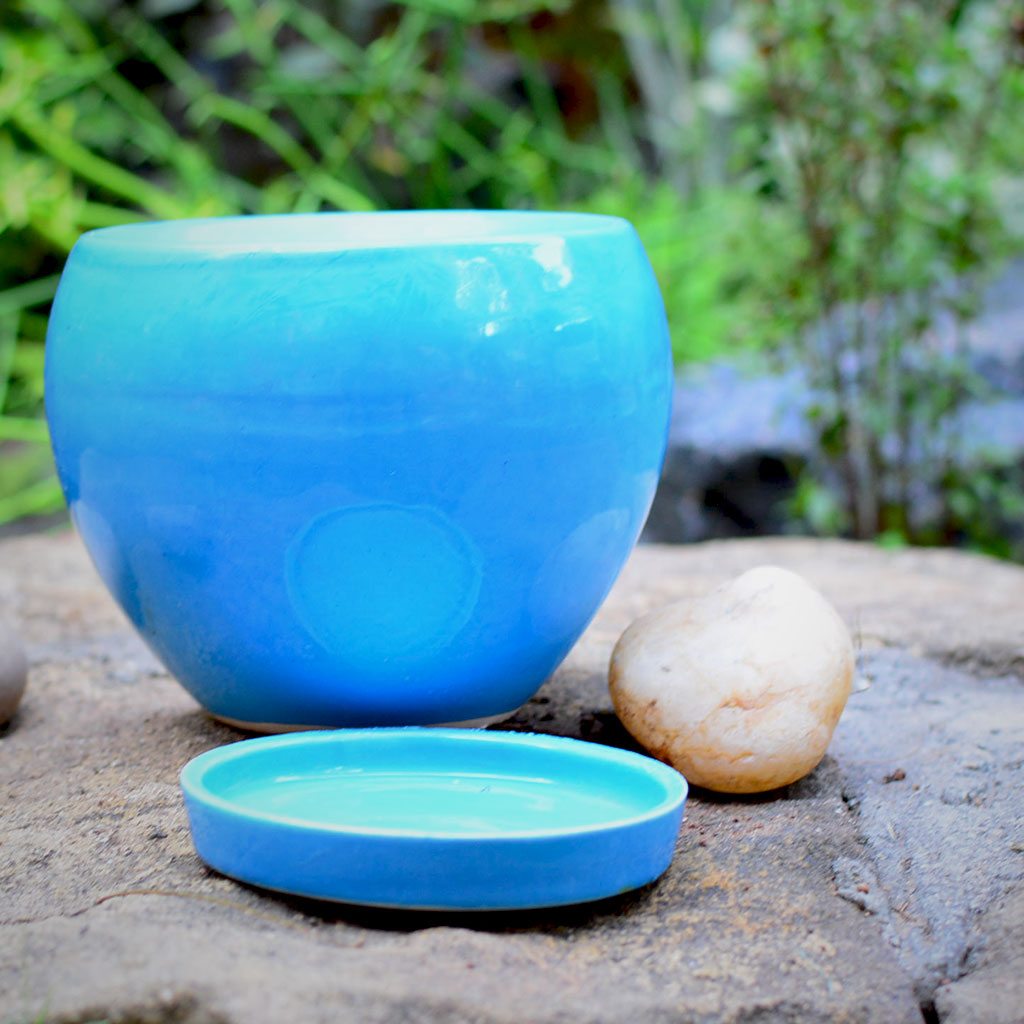  Pastel Apple Ceramic Pot With Tray