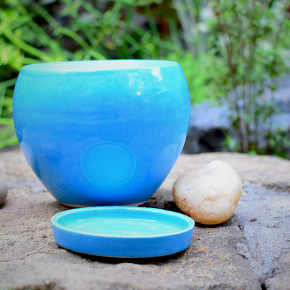  Pastel Apple Ceramic Pot With Tray
