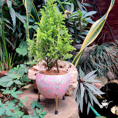  Coral Pastel Metal Pot With Stand