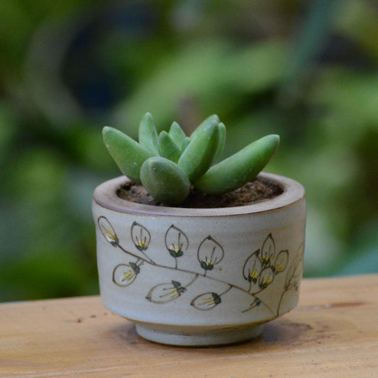 A Feather Imprint Ceramic Pot