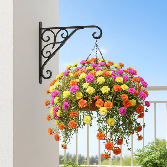  Flat Hanging Terracotta Birdfeeder Planter