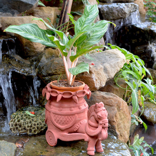  Terracotta Horse Planter