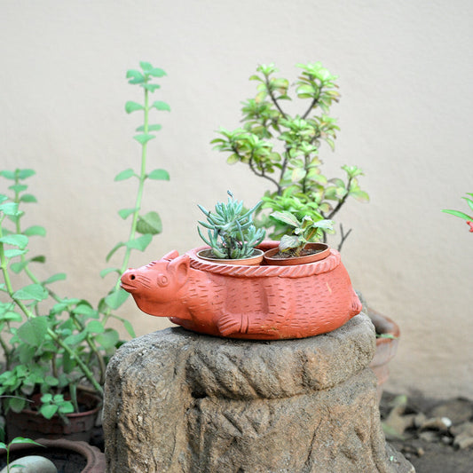  Terracotta Kangaroo Planter
