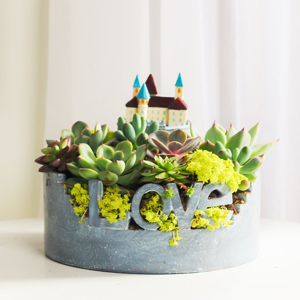  Love For Nature Resin Succulent Pot
